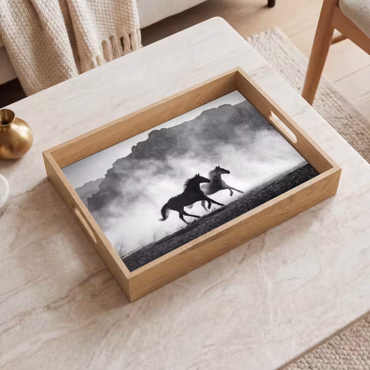 Dienblad - Paard - Ren - Stof - Zwart-wit - Dieren — 2