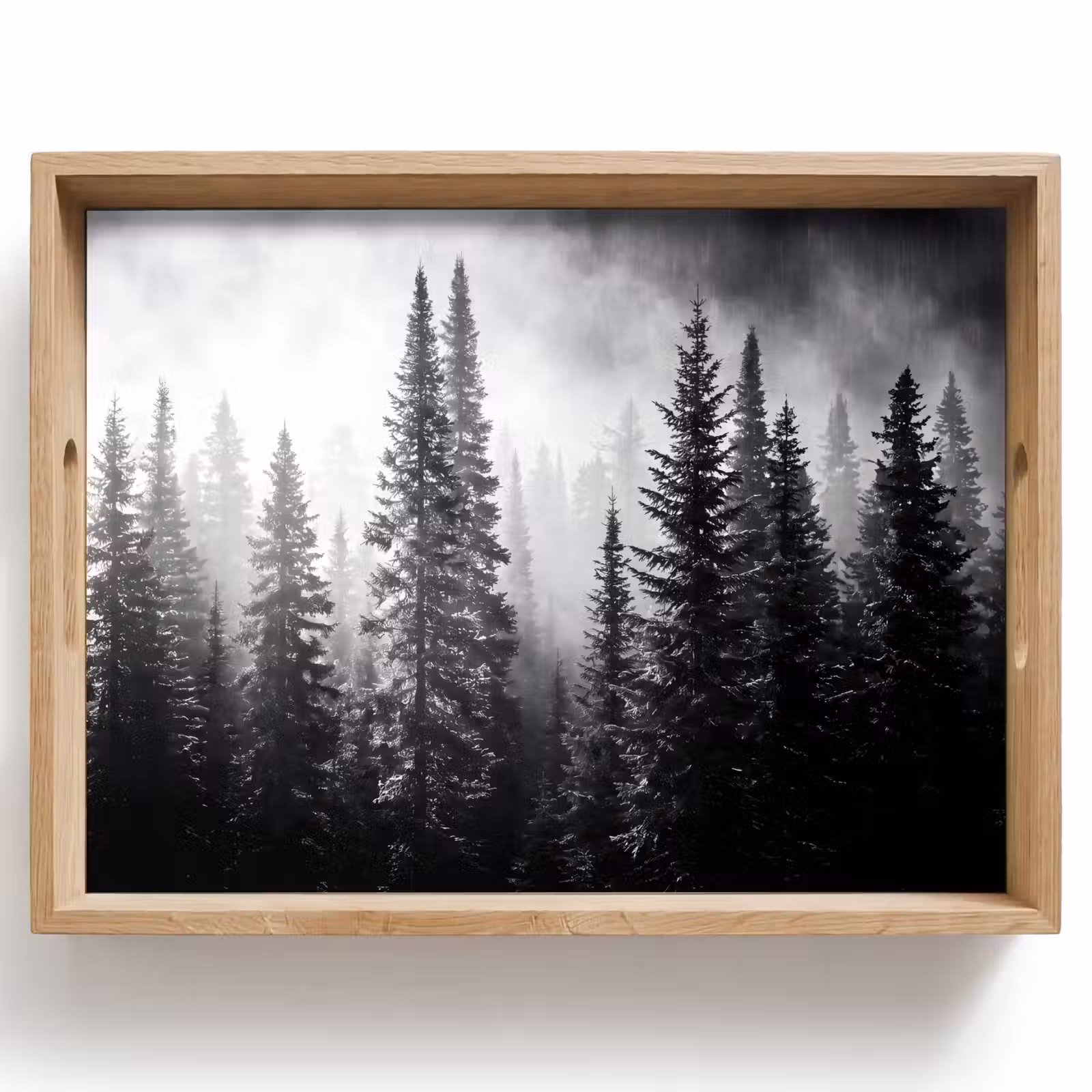 Dienblad - Bos - Mist - Winter - Monochroom - Natuur — 1