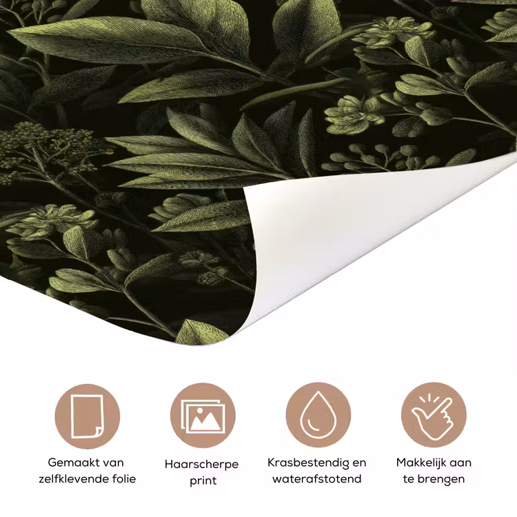 Deursticker - Klassiek - Donker - Botanisch - Planten — 3