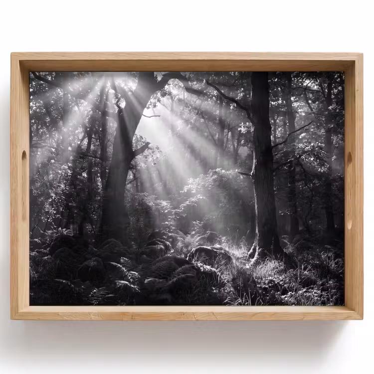 Dienblad - Bos - Lichtstralen - Natuur - Zwart-wit — 1