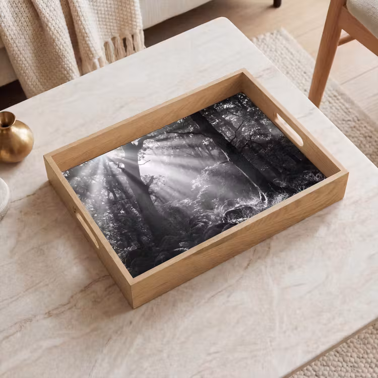 Dienblad - Bos - Lichtstralen - Natuur - Zwart-wit — 2