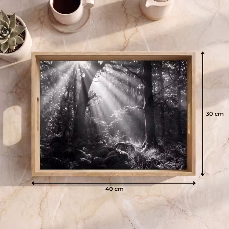 Dienblad - Bos - Lichtstralen - Natuur - Zwart-wit — 9