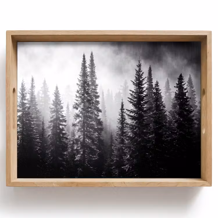 Dienblad - Bos - Mist - Winter - Monochroom - Natuur — 1