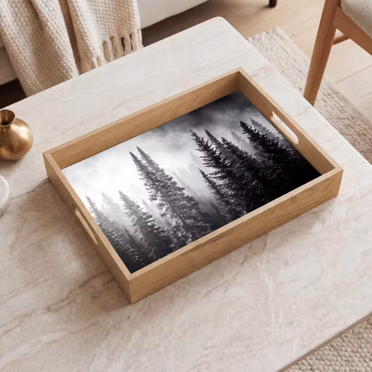 Dienblad - Bos - Mist - Winter - Monochroom - Natuur — 2