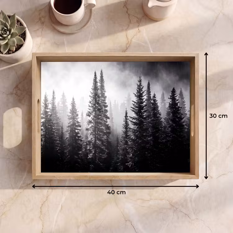 Dienblad - Bos - Mist - Winter - Monochroom - Natuur — 9