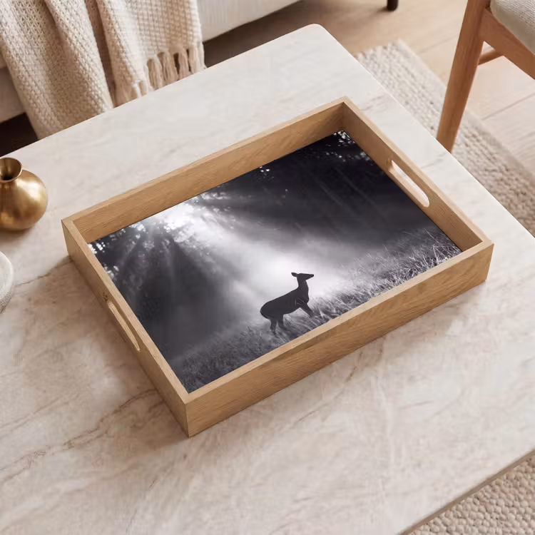 Dienblad - Hert - Bos - Zonnestralen - Zwart-wit - Natuur — 2
