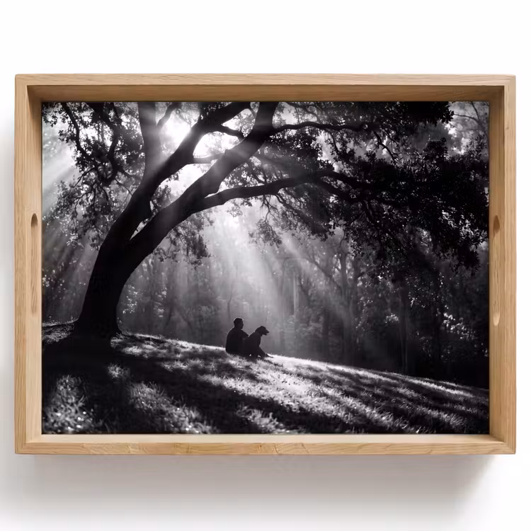 Dienblad - Mens - Hond - Natuur - Zwart-wit - Silhouet — 1