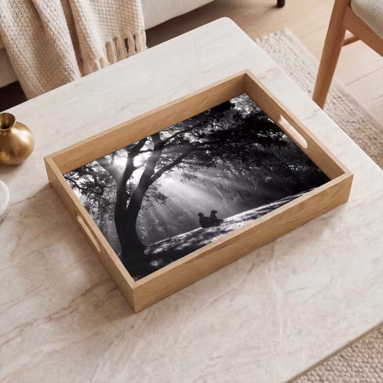 Dienblad - Mens - Hond - Natuur - Zwart-wit - Silhouet — 2