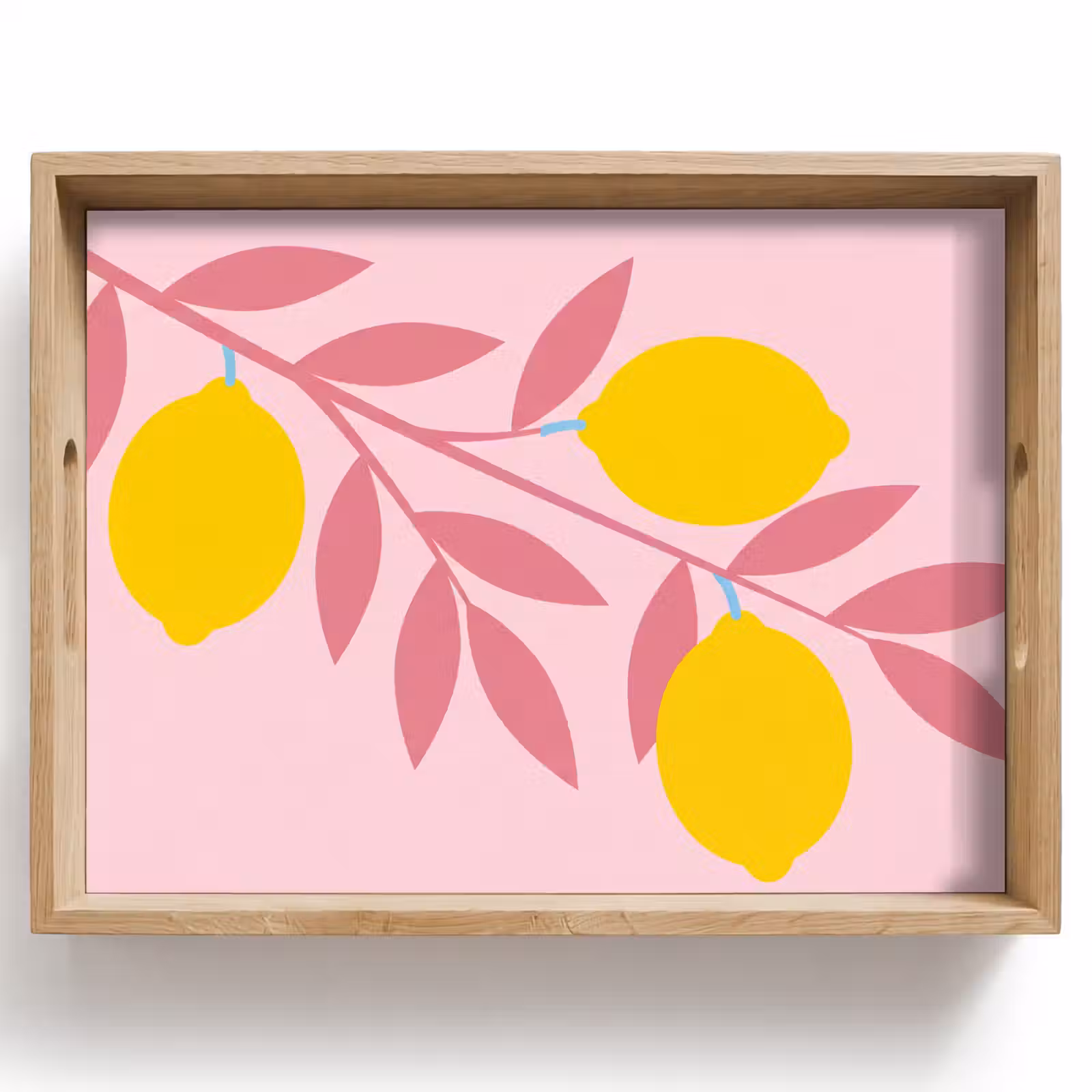 Dienblad - Fruit - Tak - Natuur - Abstract - Roze — 1