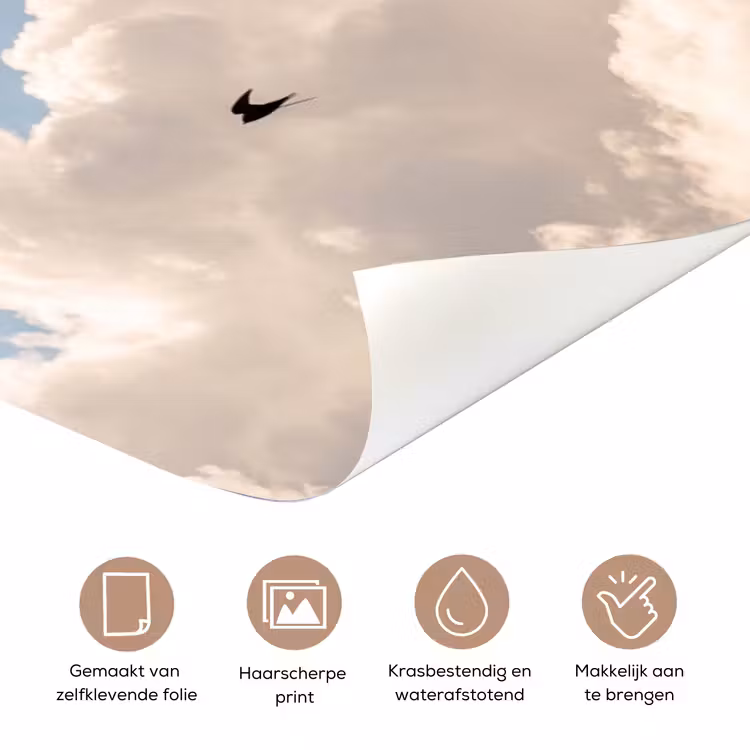Deursticker - Vogel - Vlucht - Wolken - Natuur - Blauw — 3