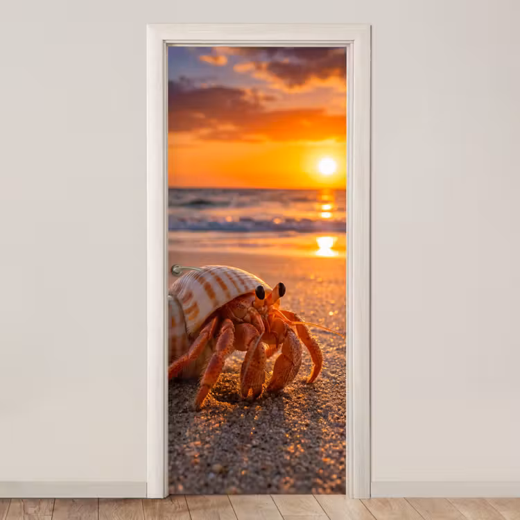 Deursticker - Kreeft - Strand - Natuur - Zonsondergang - Oranje — 1