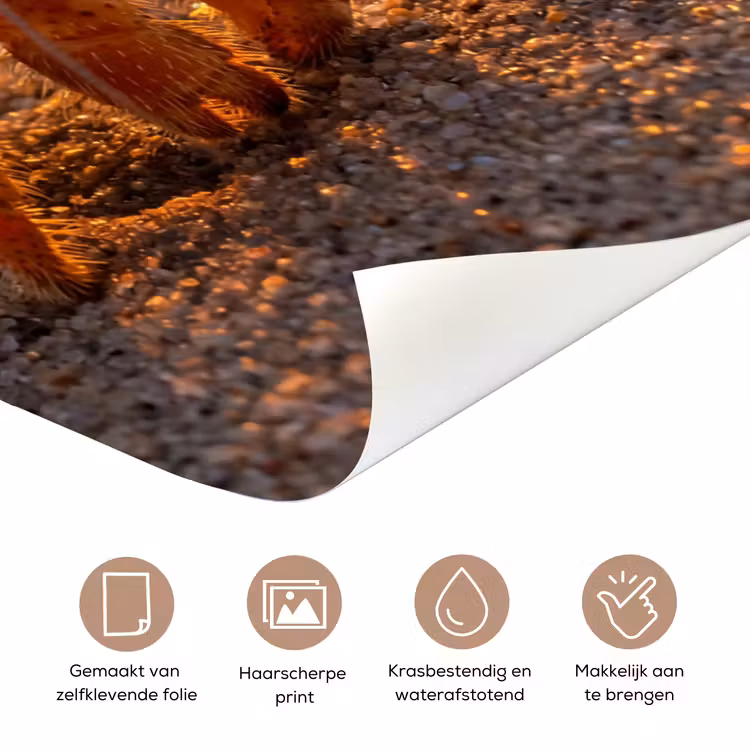 Deursticker - Kreeft - Strand - Natuur - Zonsondergang - Oranje — 3
