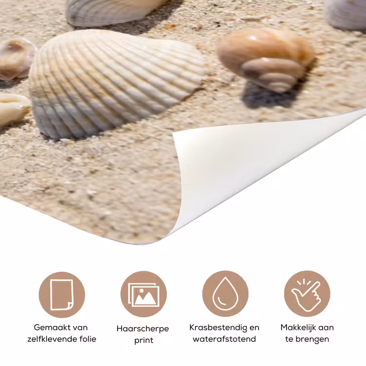 Deursticker - Schelpen - Strand - Natuur - Beige — 3