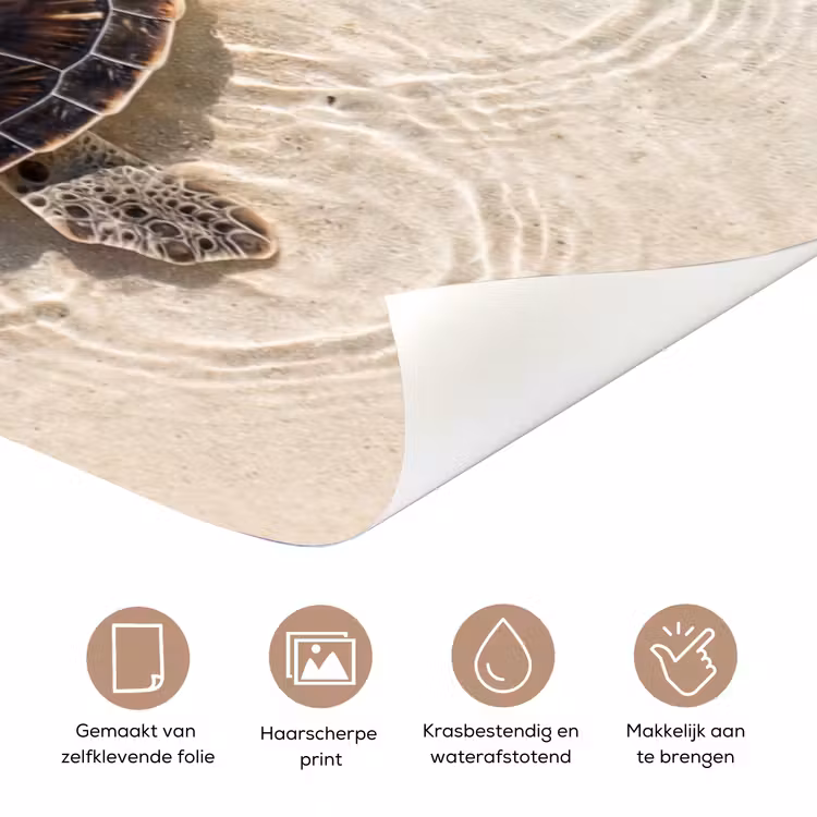 Deursticker - Schildpad - Helder water - Strand - Dieren - Natuur — 3