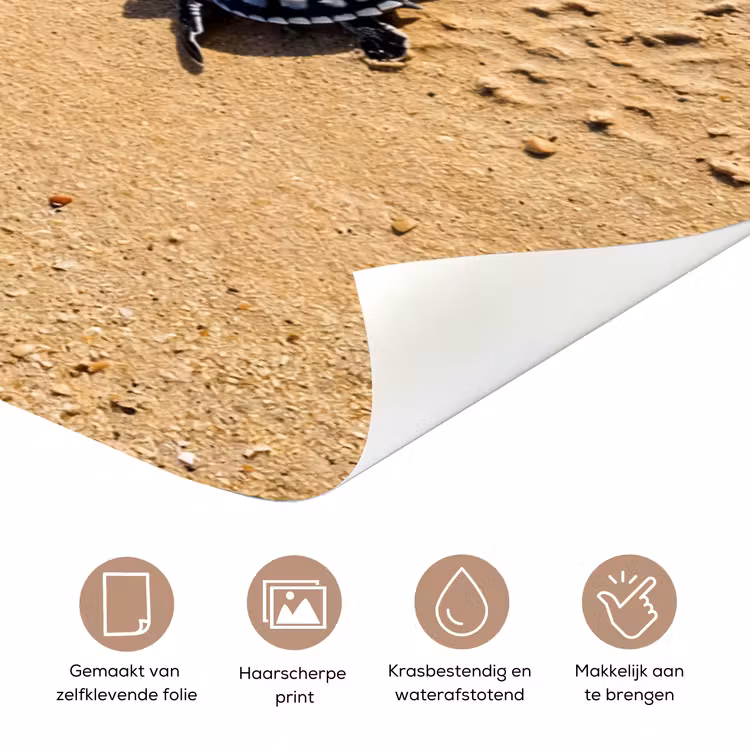 Deursticker - Schildpad - Jong - Strand - Oceaan - Blauw — 3