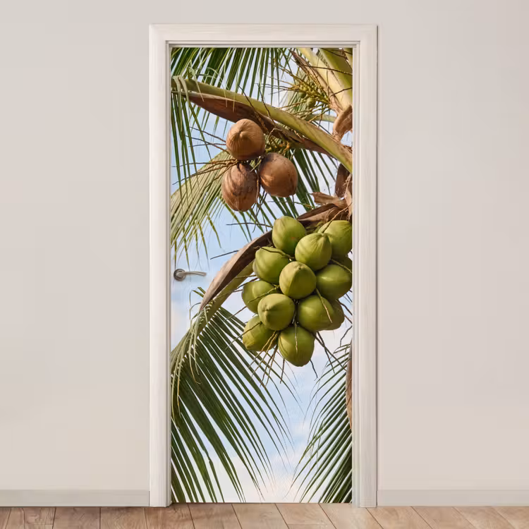 Deursticker - Kokosnoot - Boom - Tropisch - Natuur - Groen — 1