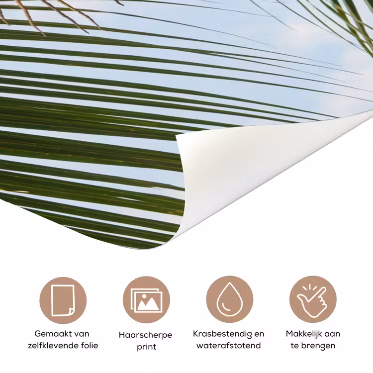 Deursticker - Kokosnoot - Boom - Tropisch - Natuur - Groen — 3