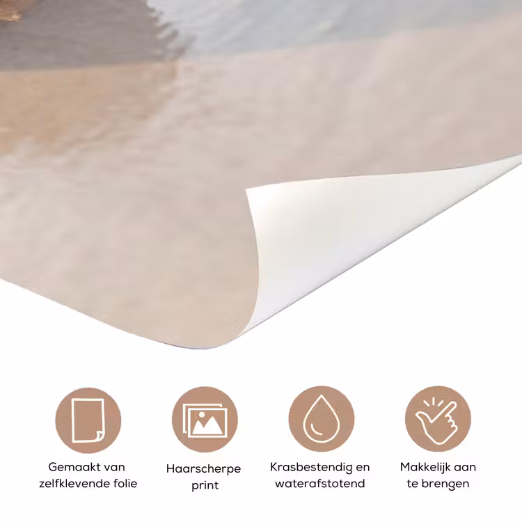 Deursticker - Zeeschelp - Strand - Zee - Natuur - Beige — 3