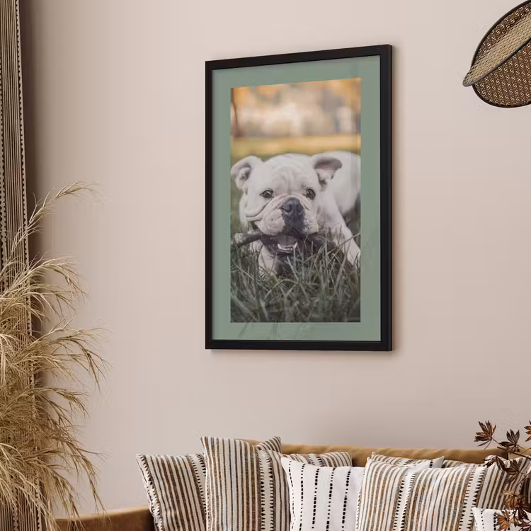 Poster met lijst - Gekleurde border — 2