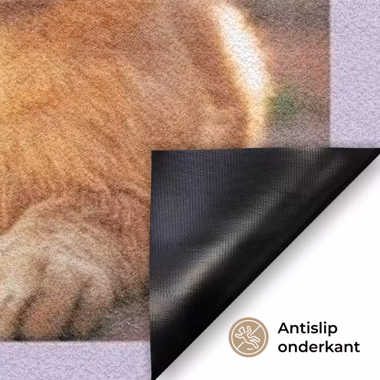 Personaliseerbare deurmat - Eigen - Foto's - Vierkant — 6