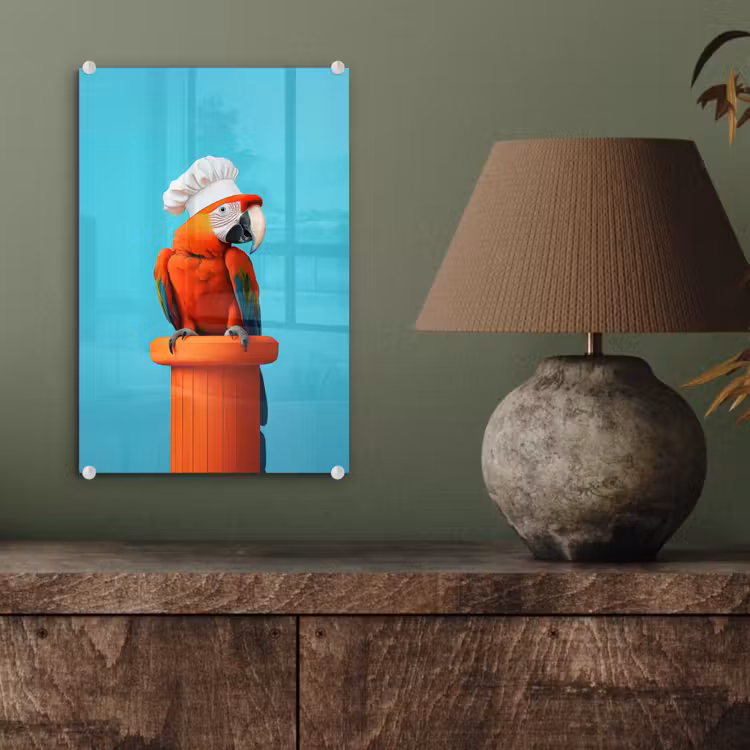 Glas schilderij - Ara - Koksmuts - Sokkel - Grappig — 4