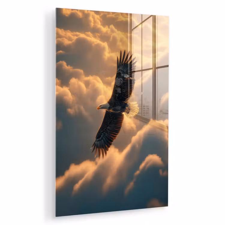 Glas schilderij - Adelaar - Wolken - Zon — 1