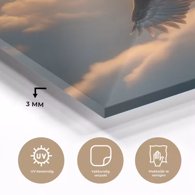 Glas schilderij - Adelaar - Wolken - Zon — 3