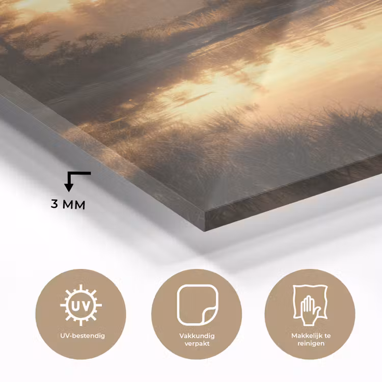 Glas schilderij - Beer - water - Bos - Ochtendlicht — 3