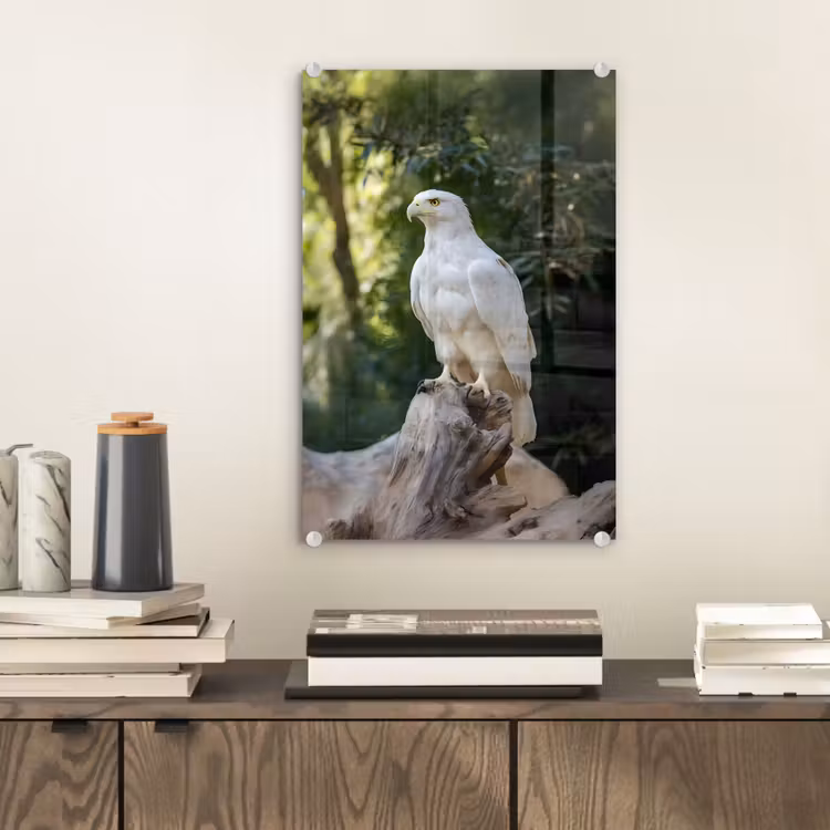 Glas schilderij - Arend - Hout - Wit - Planten — 2