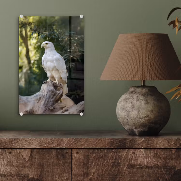 Glas schilderij - Arend - Hout - Wit - Planten — 4
