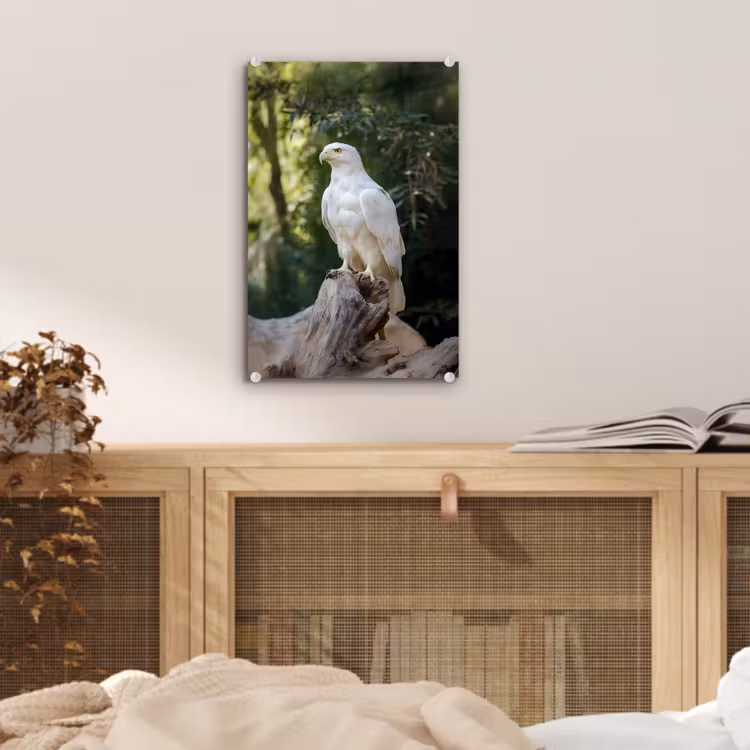 Glas schilderij - Arend - Hout - Wit - Planten — 5