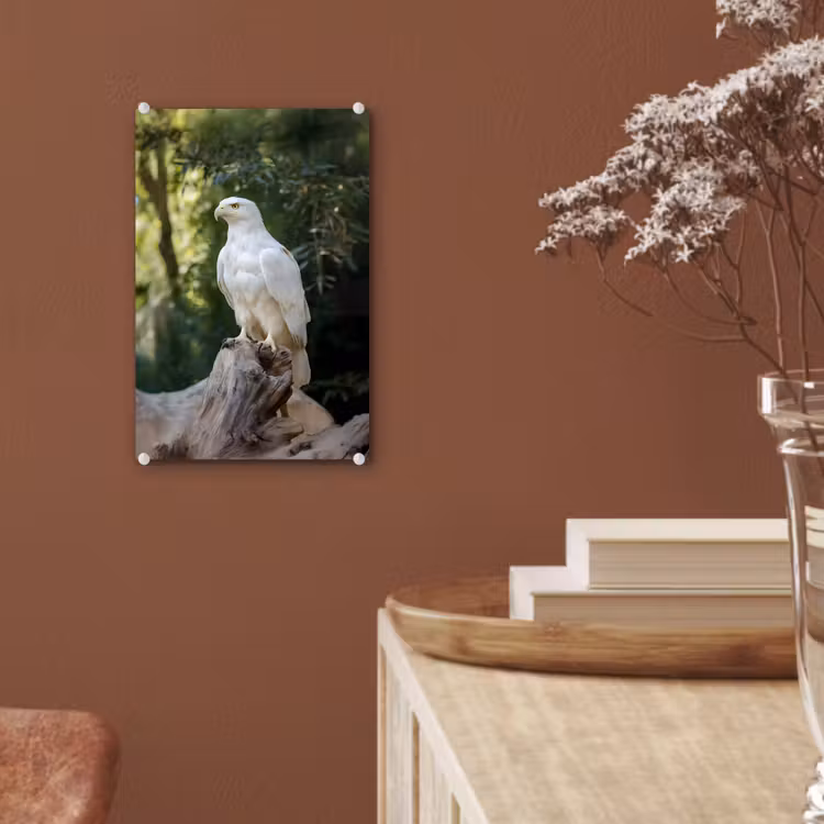 Glas schilderij - Arend - Hout - Wit - Planten — 6