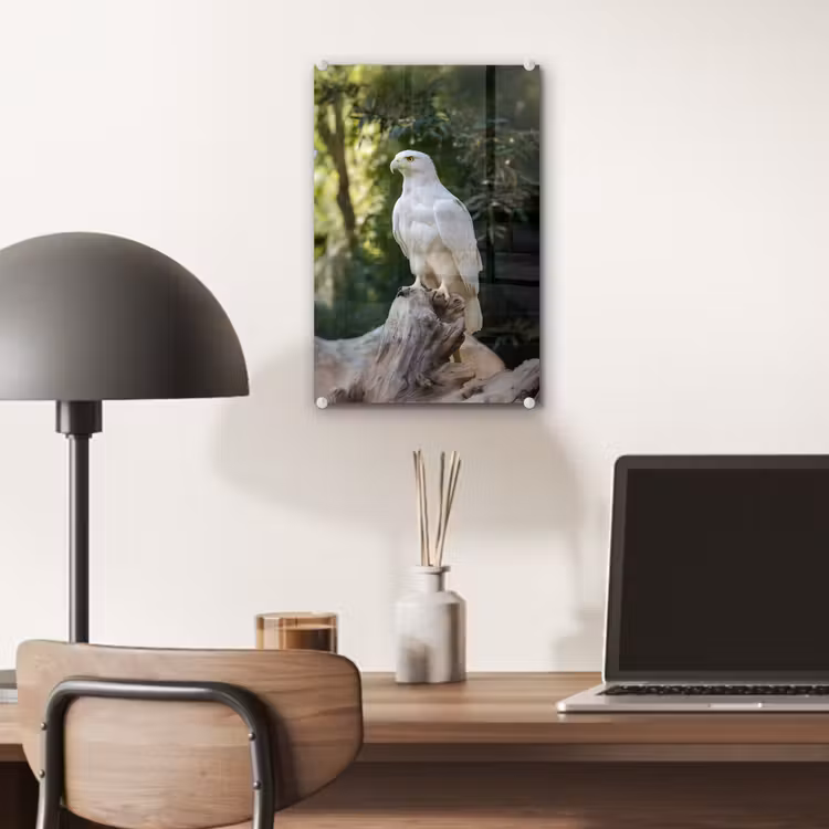 Glas schilderij - Arend - Hout - Wit - Planten — 7