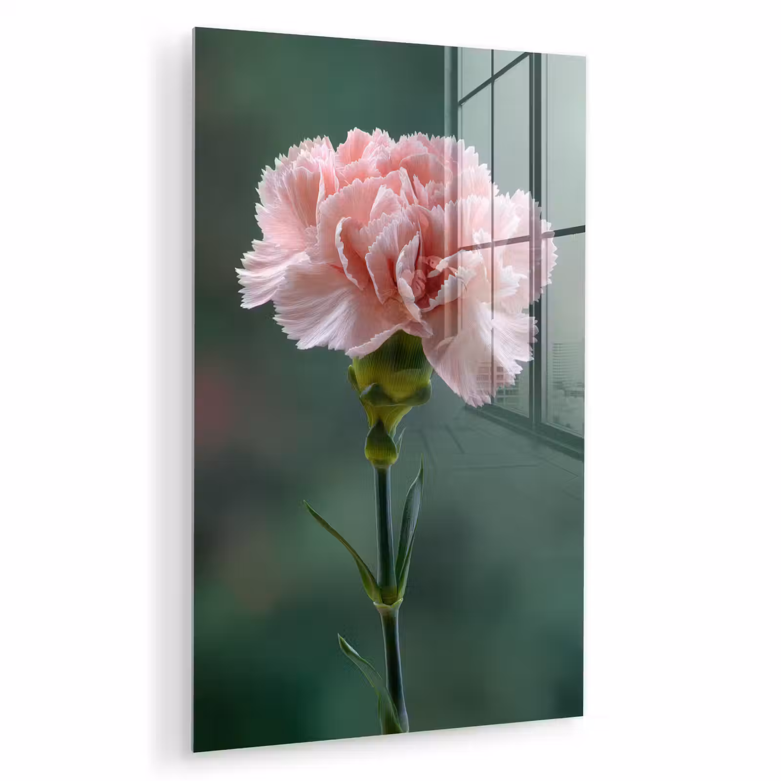 Glas schilderij - Anjer - Roze - Bloemblaadjes — 1