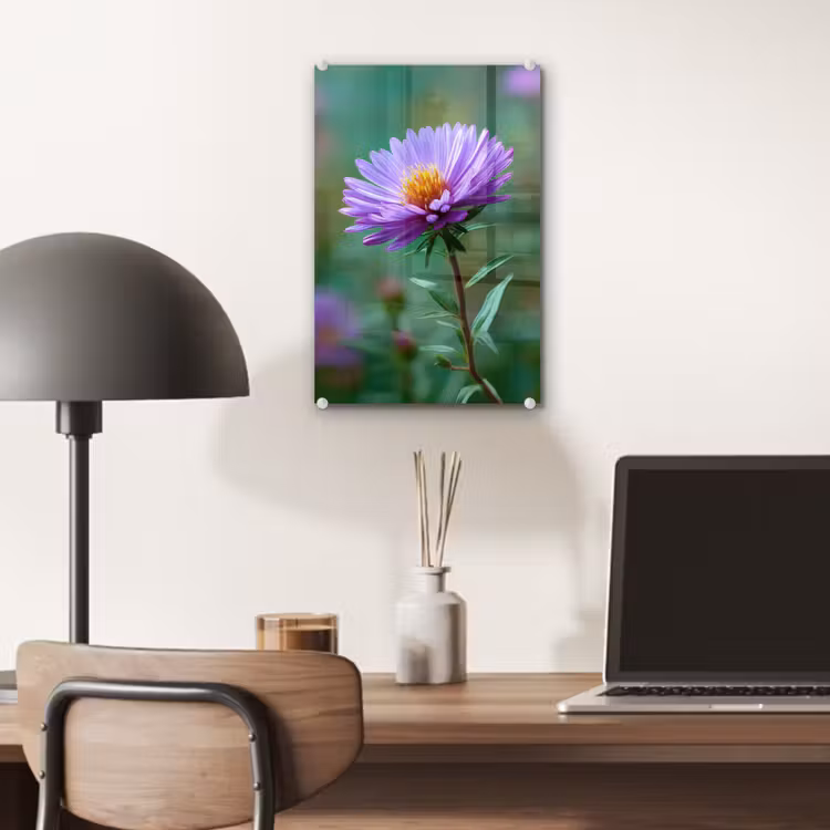Glas schilderij - Aster - Paars - Bloem - Blaadjes — 7