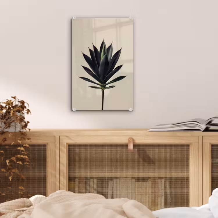 Glas schilderij - Agaveplant - Symmetrisch - Groen — 5