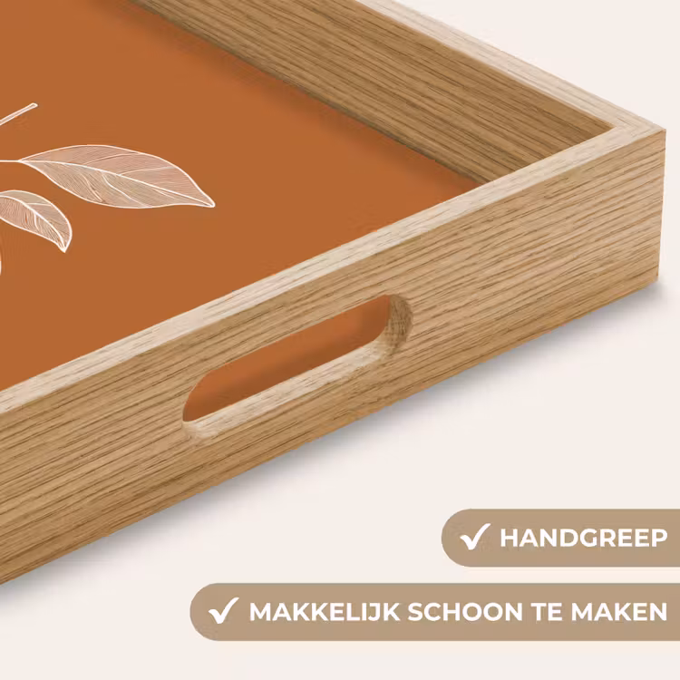 Dienblad - Sinaasappel - Getekend - Bladeren - Bruin — 5