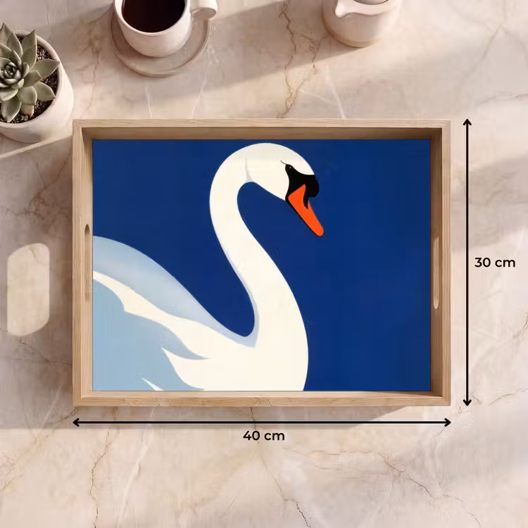 Dienblad - Zwaan - Wit - Snavel - Illustratie — 9