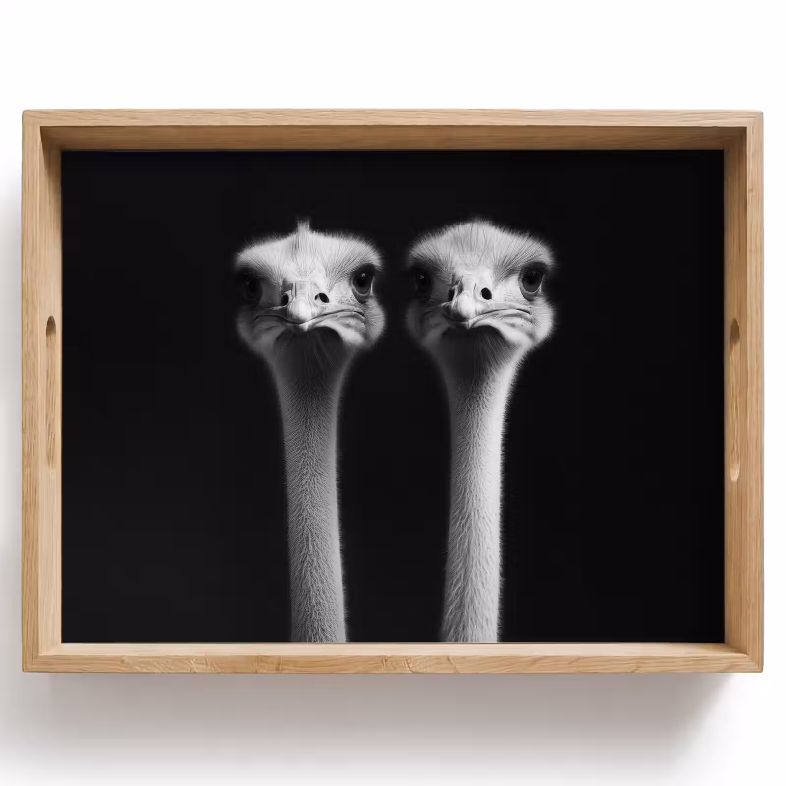 Dienblad - Struisvogels - Halzen - Zwart - Minimalistisch — 1