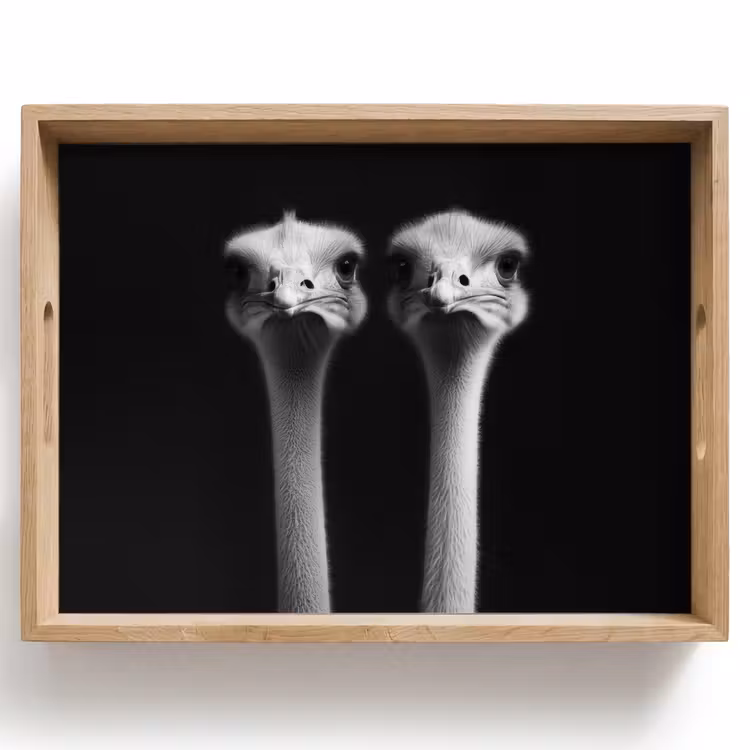Dienblad - Struisvogels - Halzen - Zwart - Minimalistisch — 1