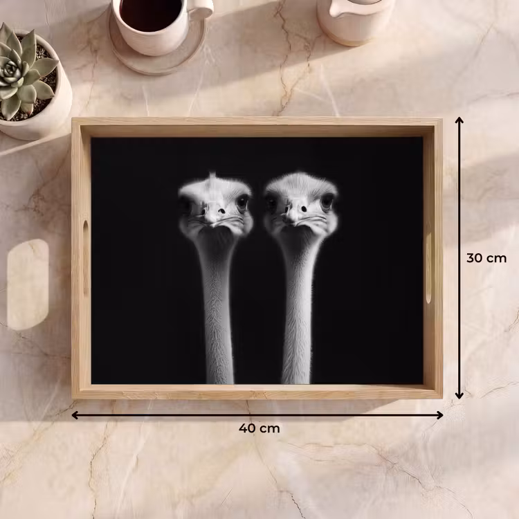 Dienblad - Struisvogels - Halzen - Zwart - Minimalistisch — 9