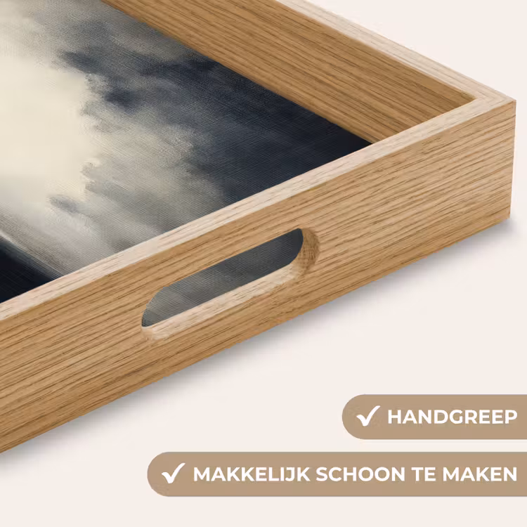 Dienblad - Zee - Rotsen - Storm — 5