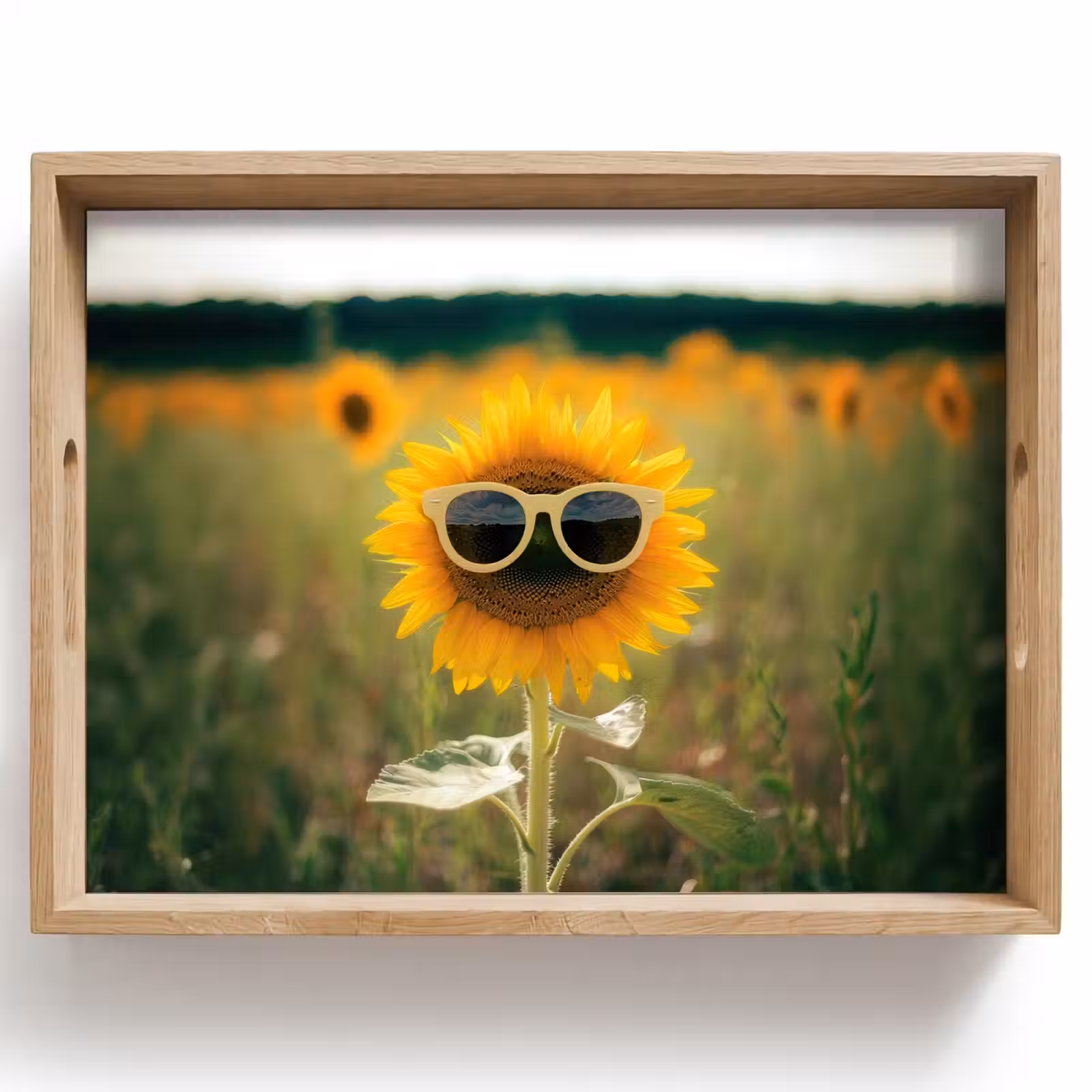 Dienblad - Zonnebloem - Veld - Zonnebril — 1