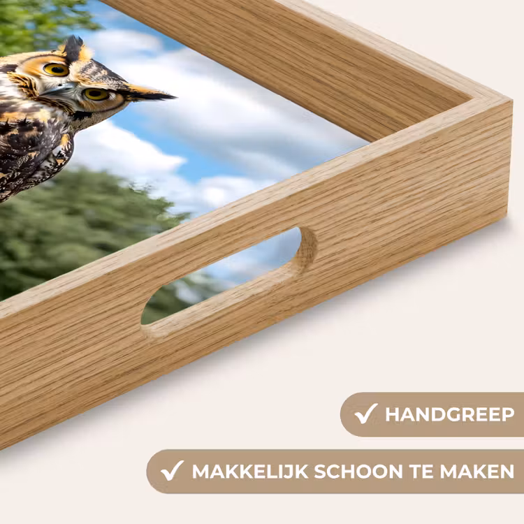 Dienblad - Uil - Boomstronk - Bos - Lucht — 5