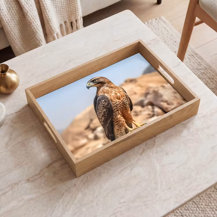 Dienblad - Valk - Vogel - Rots - Macht — 2