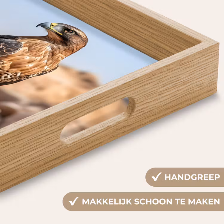 Dienblad - Valk - Vogel - Rots - Macht — 5