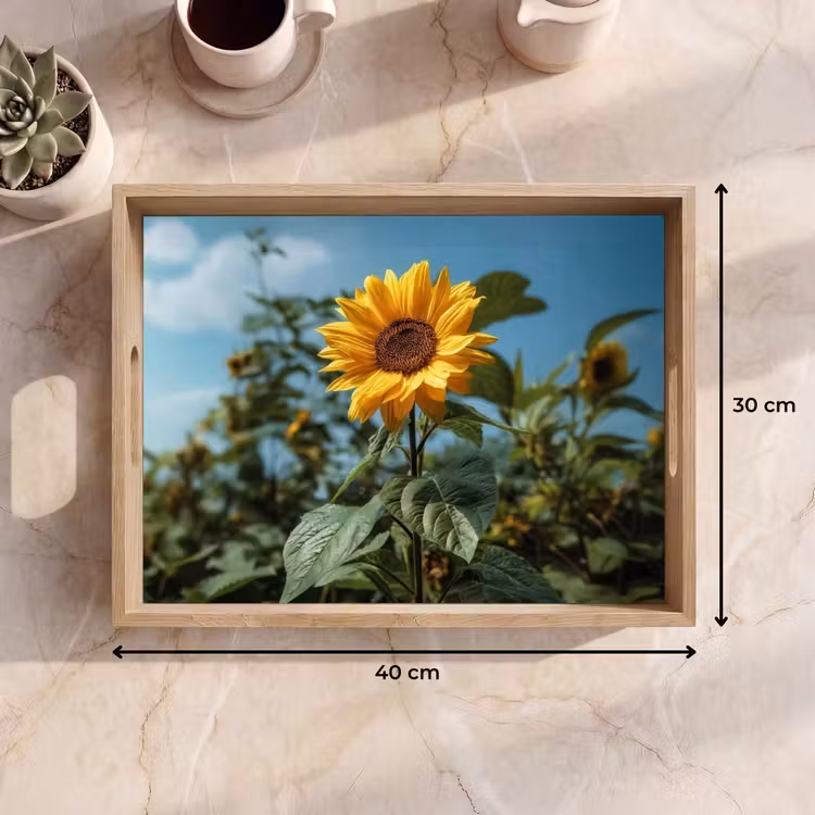 Dienblad - Zonnebloemen - Helderblauwer lucht - Gras — 9