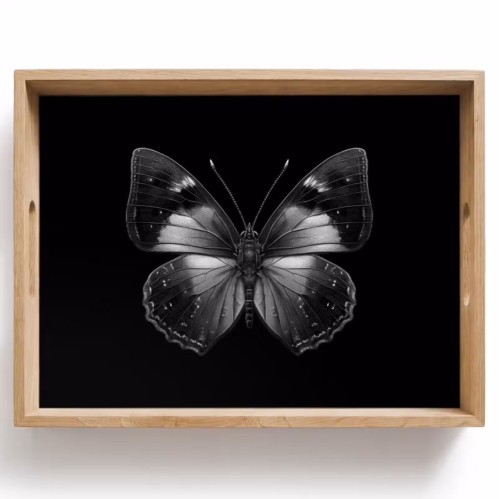 Dienblad - Vlinder - Grijs - Mysterieus — 1