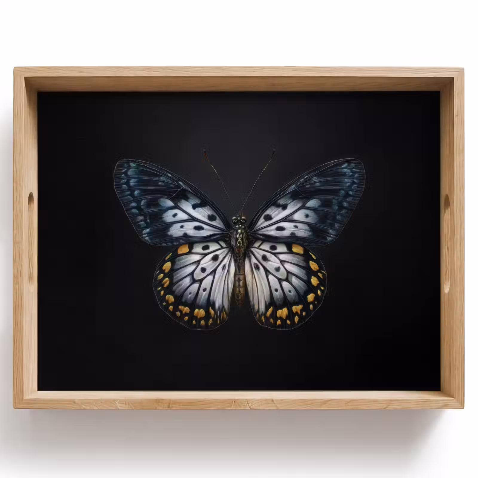 Dienblad - Vlinder - Monochroom - Balans — 1