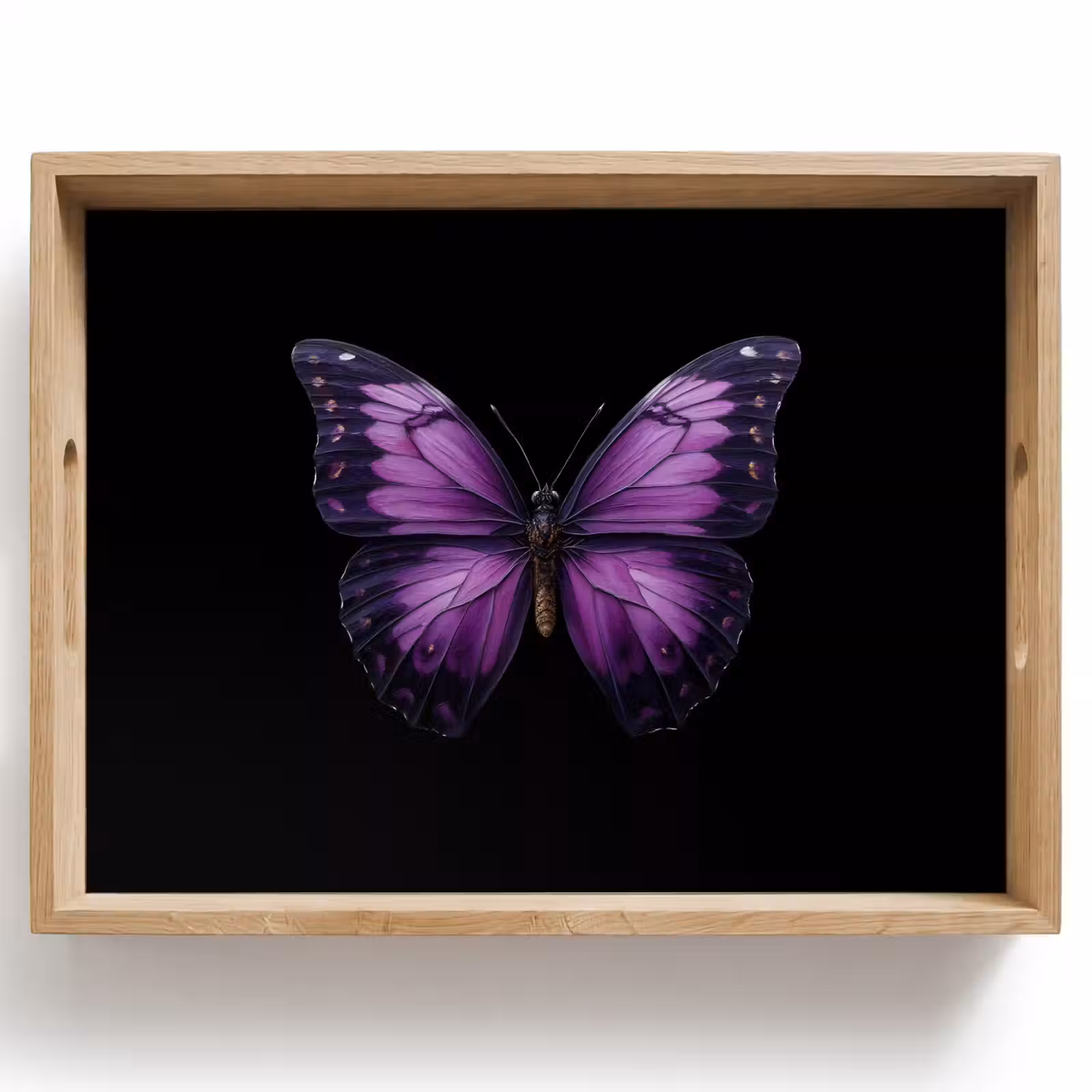 Dienblad - Vlinder - Paars - Levendig — 1